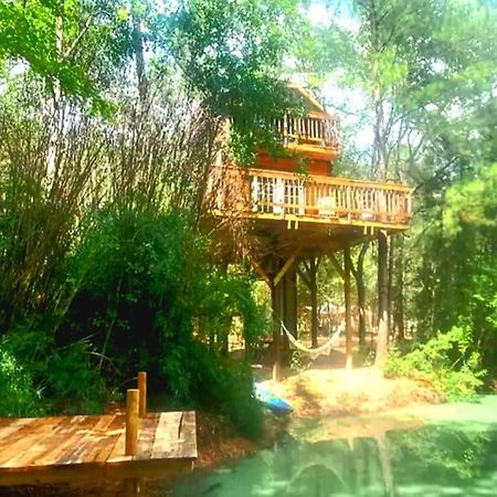 Waterfront Treehouse In A Magical Forest Waller Екстер'єр фото